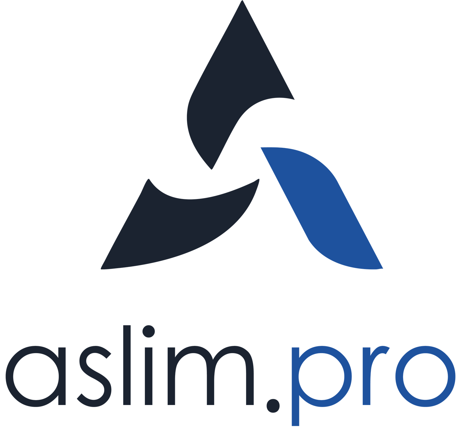 Aslim.pro Logo